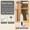 Electric milk frother